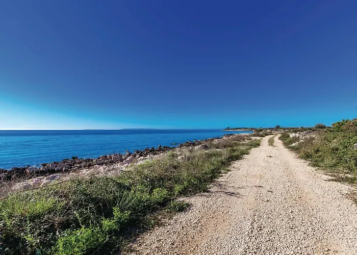 Amazing In With Wifi *